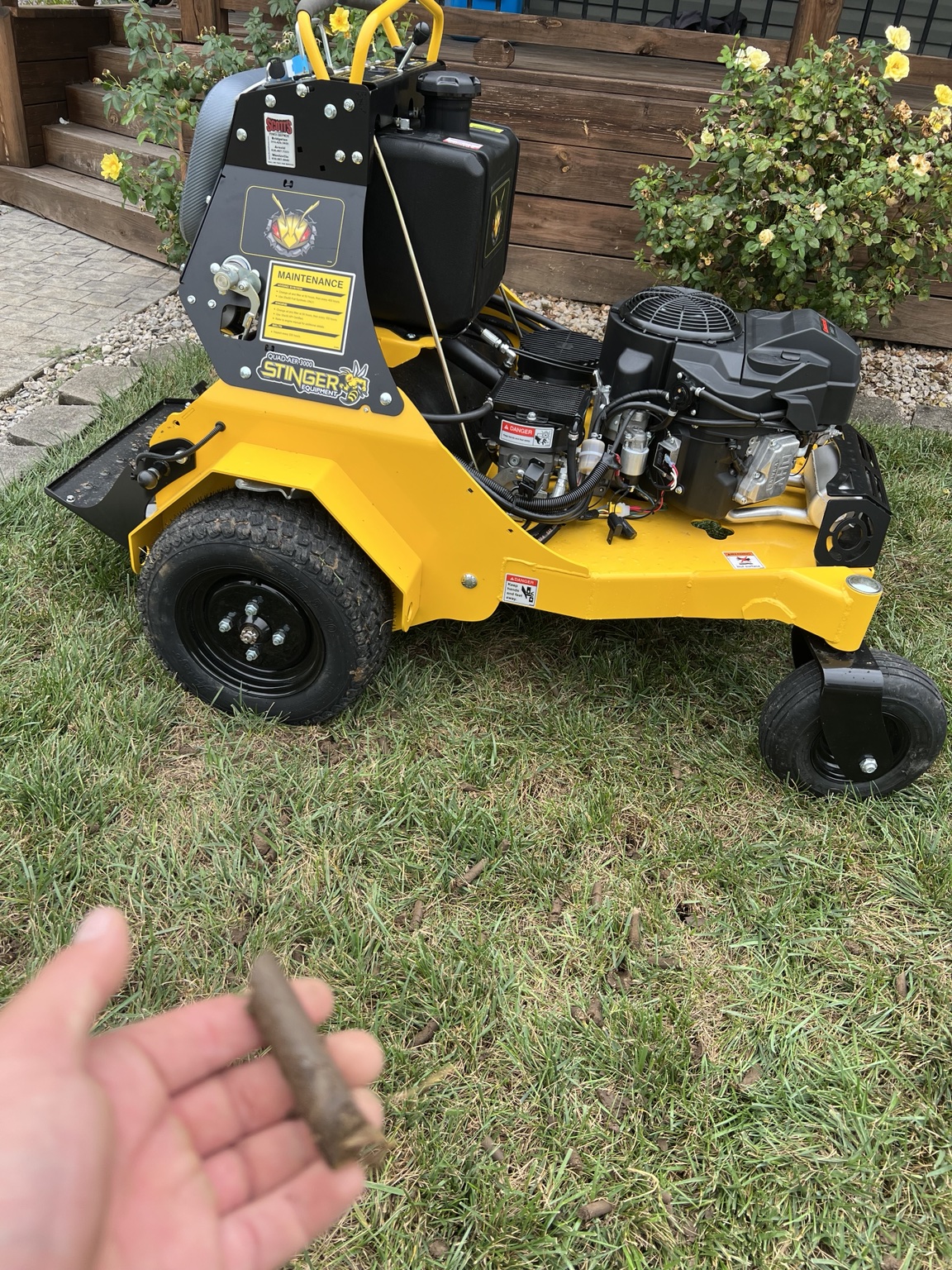 Soil cores pulled from a lawn during core aeration