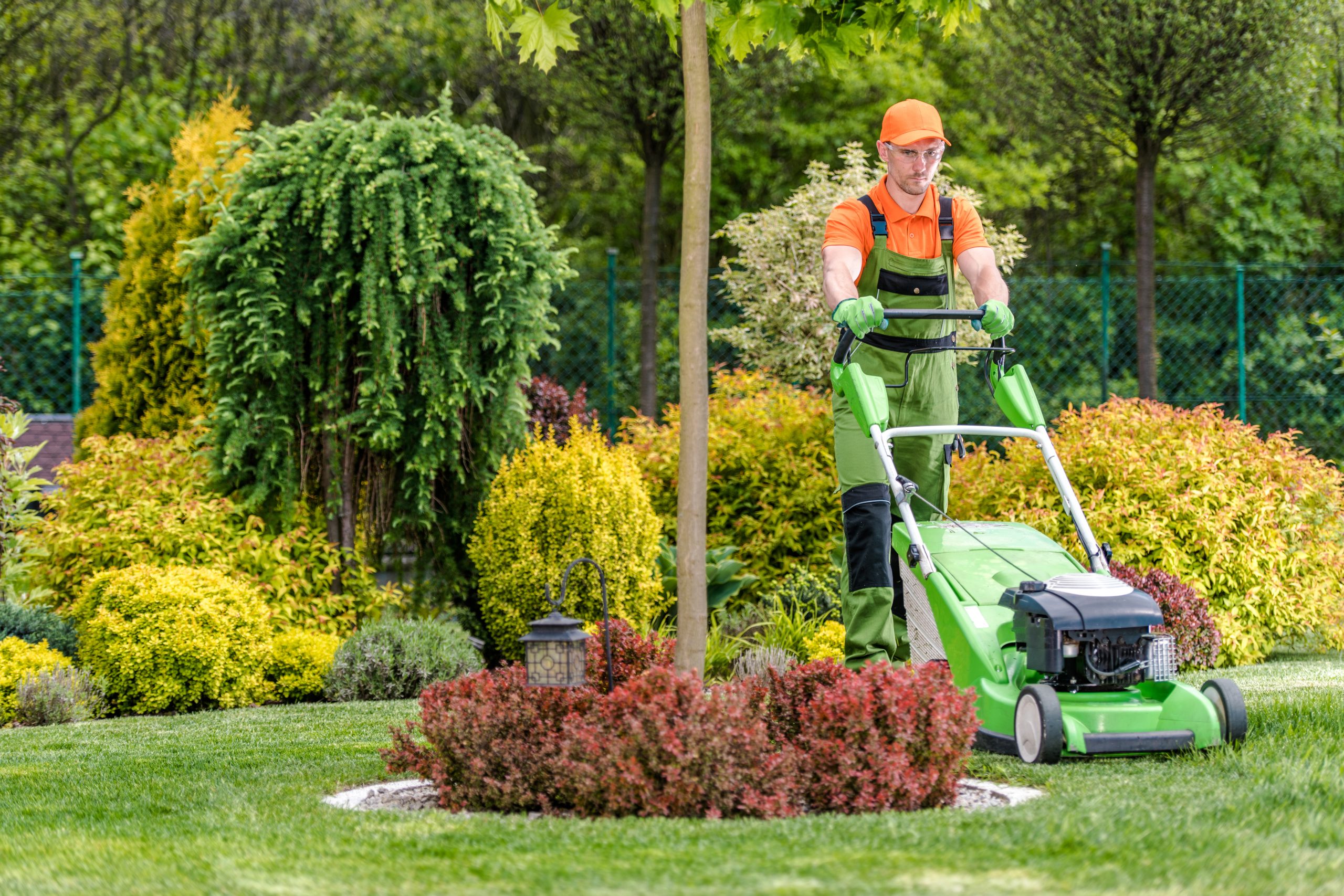 Professional landscape maintenance and landscape bed service