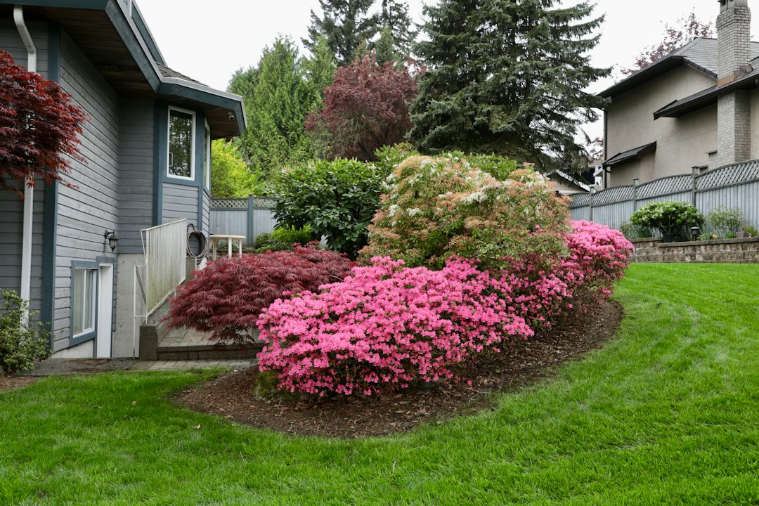 Residential landscape bed with fresh mulch, flowering shrubs, and green lawn