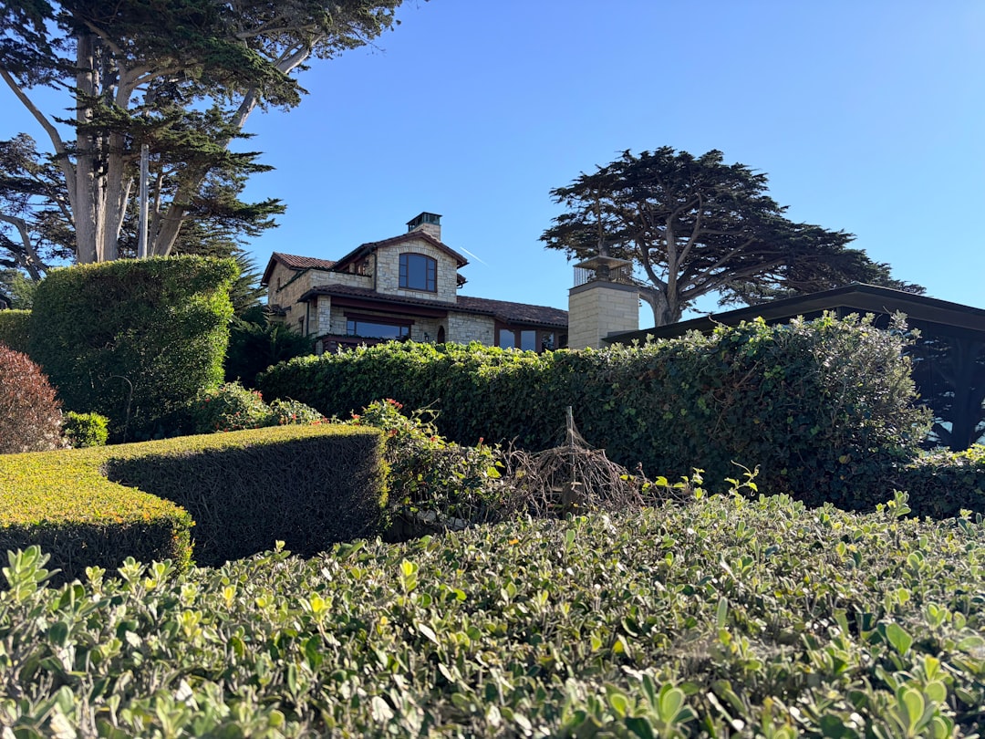 Professionally maintained shrubs and residential landscape beds