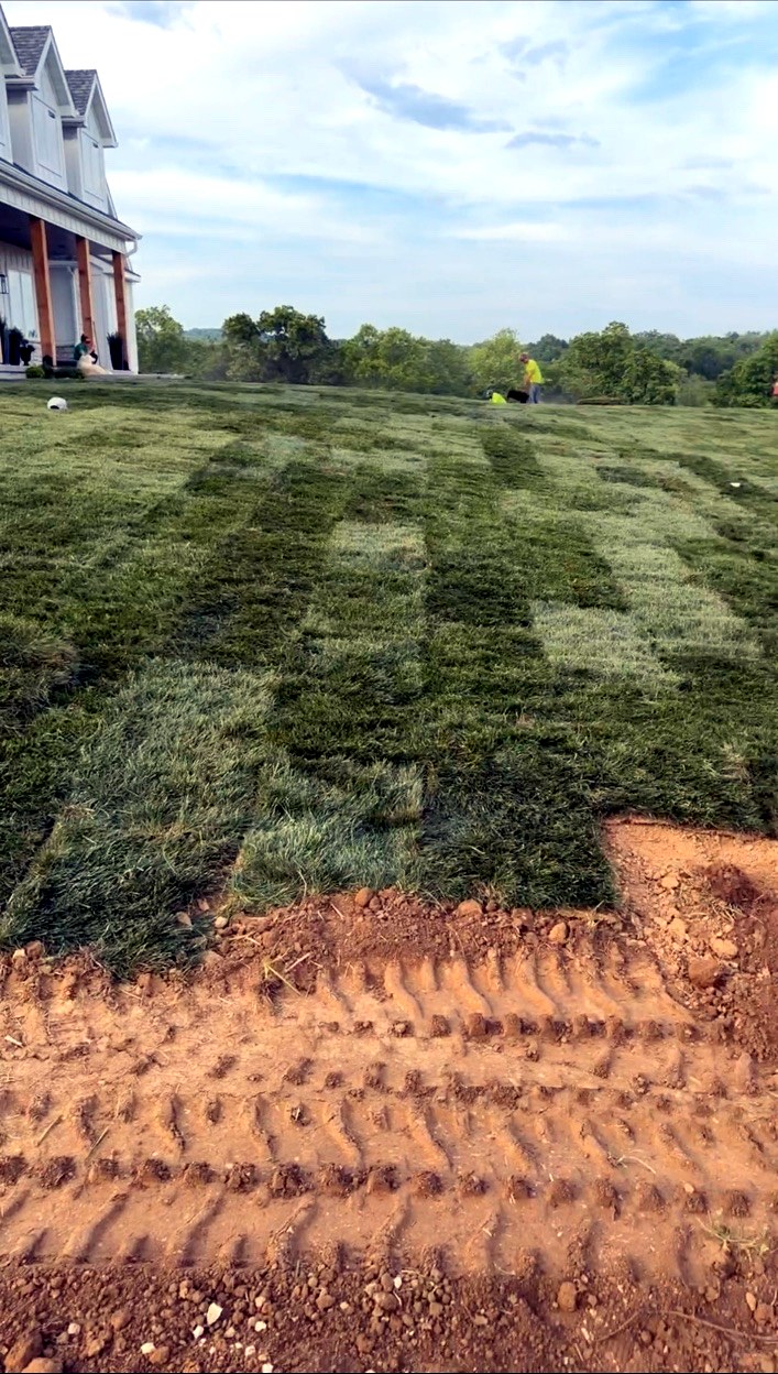 Sod delivery for a professional installation project