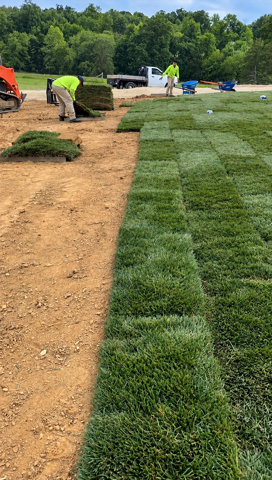 Fresh sod installation by Cardinal Lawn Care
